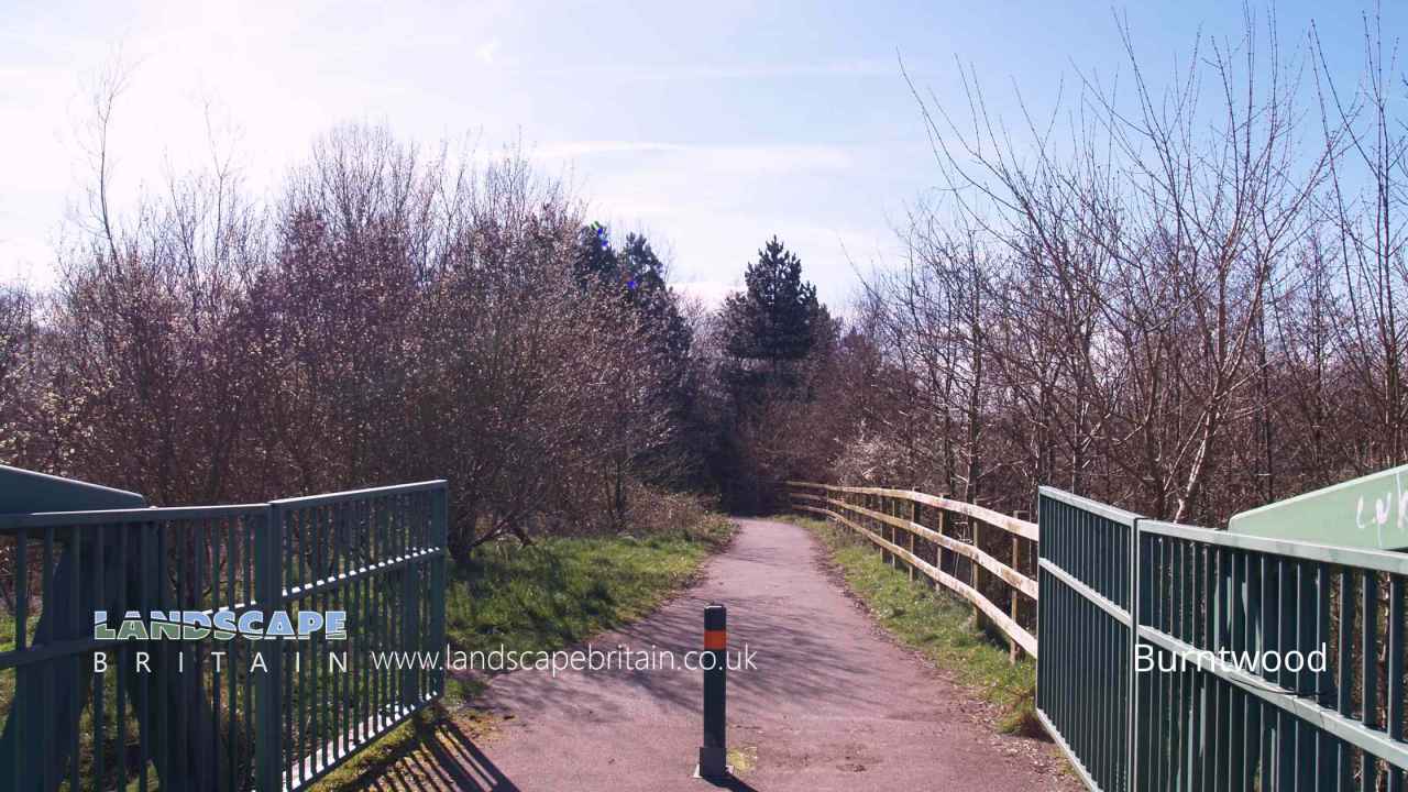 Burntwood in Flintshire (Sir y Fflint)