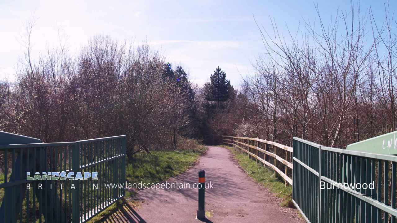 Burntwood in Flintshire (Sir y Fflint)