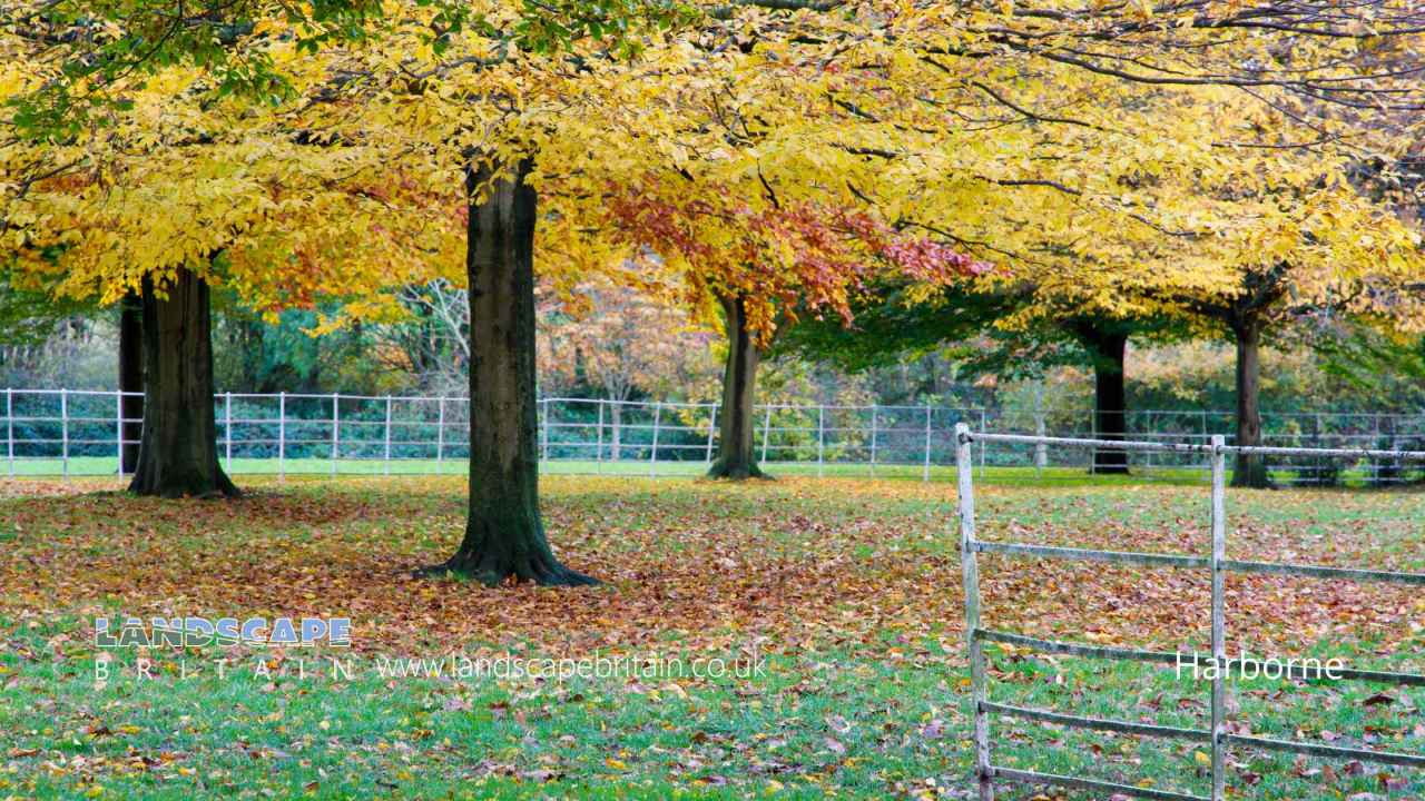 Harborne in West Midlands