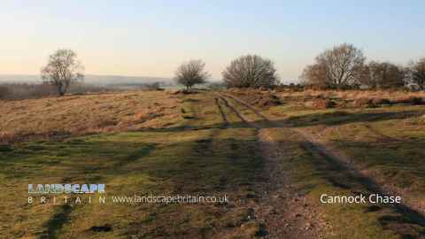 Cannock Chase