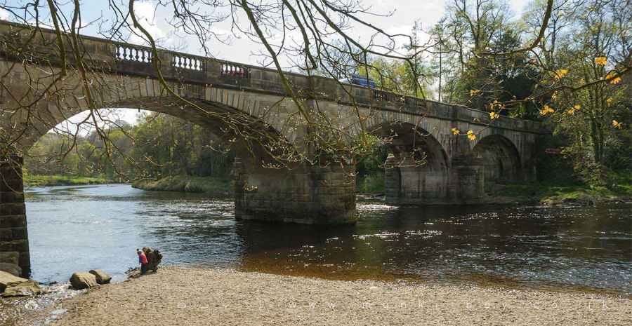 Car Keys Cut Caton with Littledale