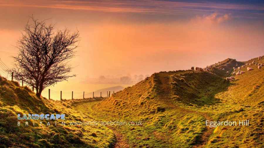 Dorset AONB