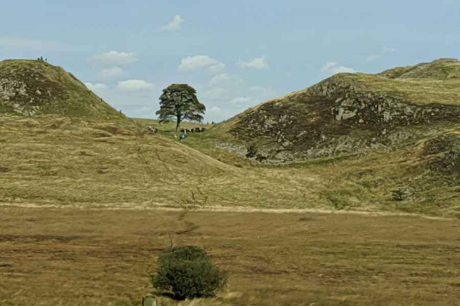 Car Keys Cut Hexham