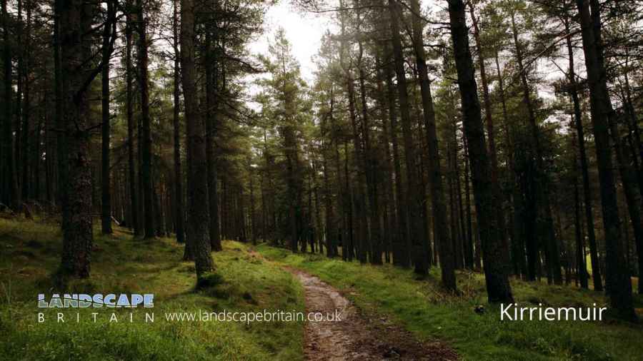 Auto Locksmith Kirriemuir