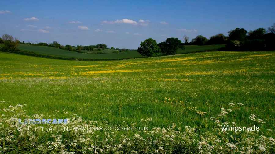 Auto Locksmith Whipsnade