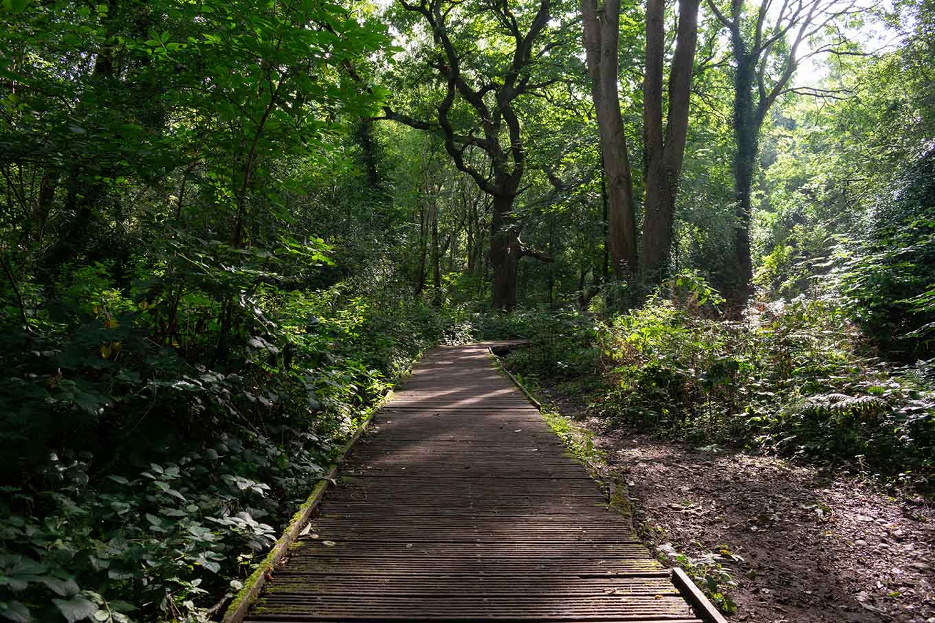 Nature Reserves in Birmingham